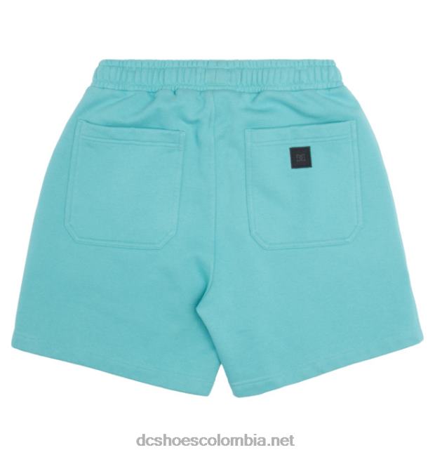shorts de chándal dc 1994 para hombre tinte de prendas de vestir meadowbrook DC Shoes X4RB08