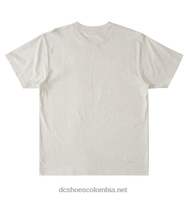 camiseta cafe x dc hombre ceniza brezo DC Shoes X4RB032