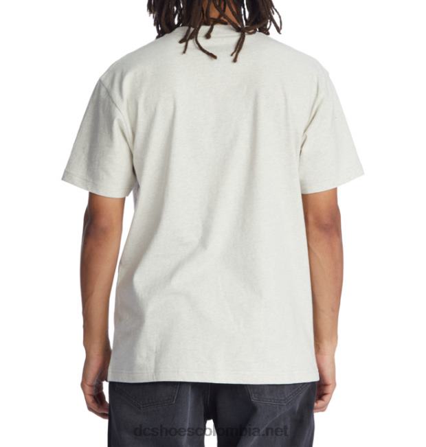 camiseta cafe x dc hombre ceniza brezo DC Shoes X4RB032