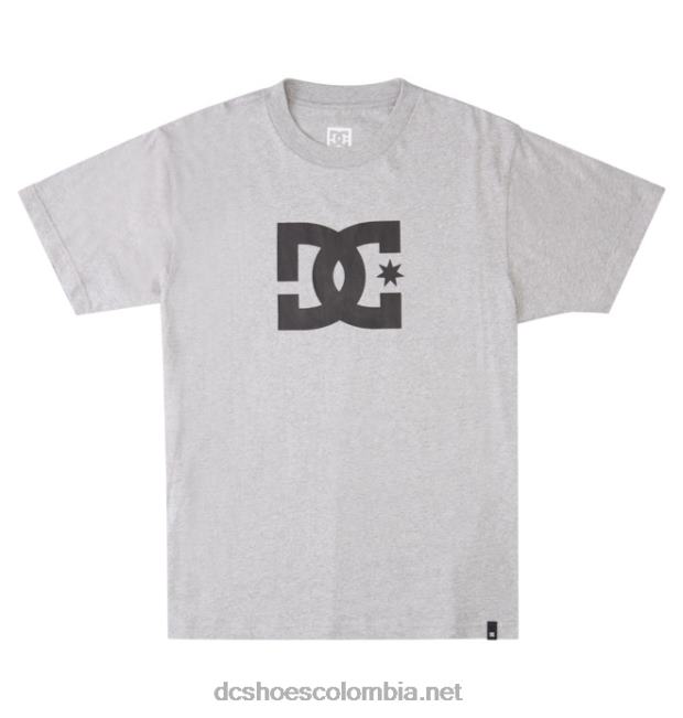 camiseta de estrella dc para hombre cuero gris DC Shoes X4RB072