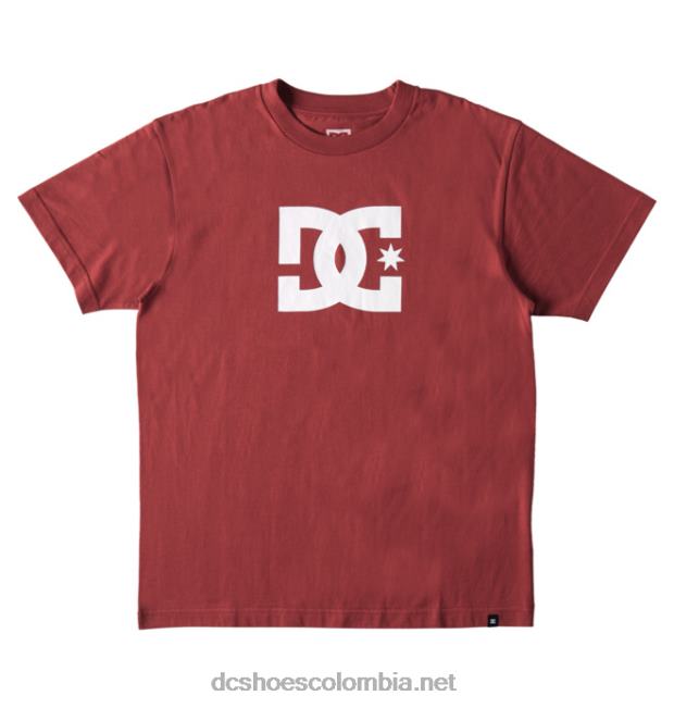 camiseta de estrella dc para hombre tierra roja DC Shoes X4RB0398
