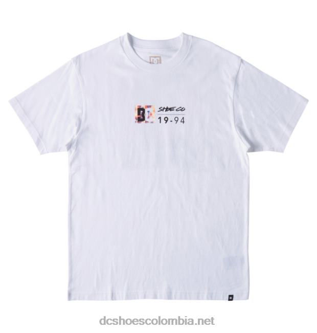 camiseta de hombre dc split star tinte de hielo blanco / cálido DC Shoes X4RB0129