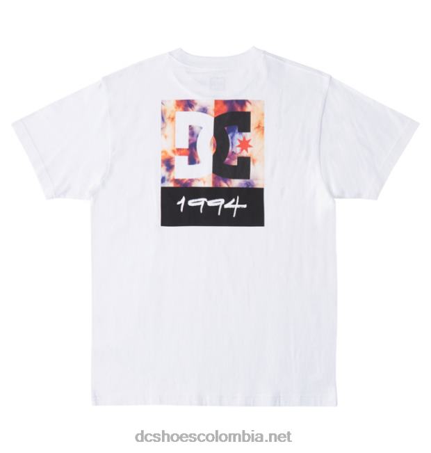 camiseta de hombre dc split star tinte de hielo blanco / cálido DC Shoes X4RB0129