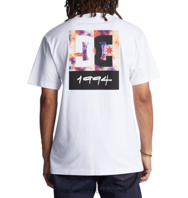 camiseta de hombre dc split star tinte de hielo blanco / cálido DC Shoes X4RB0129