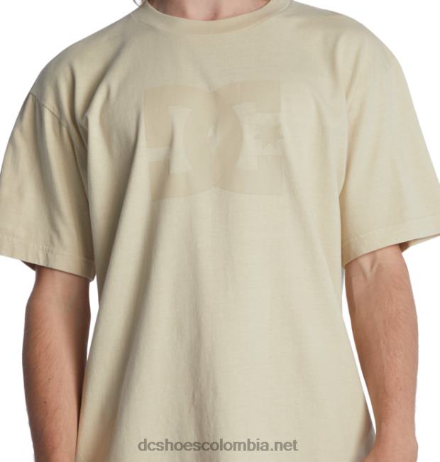 camiseta de hombre dc star pigment dye lavado enzimático nublado DC Shoes X4RB050