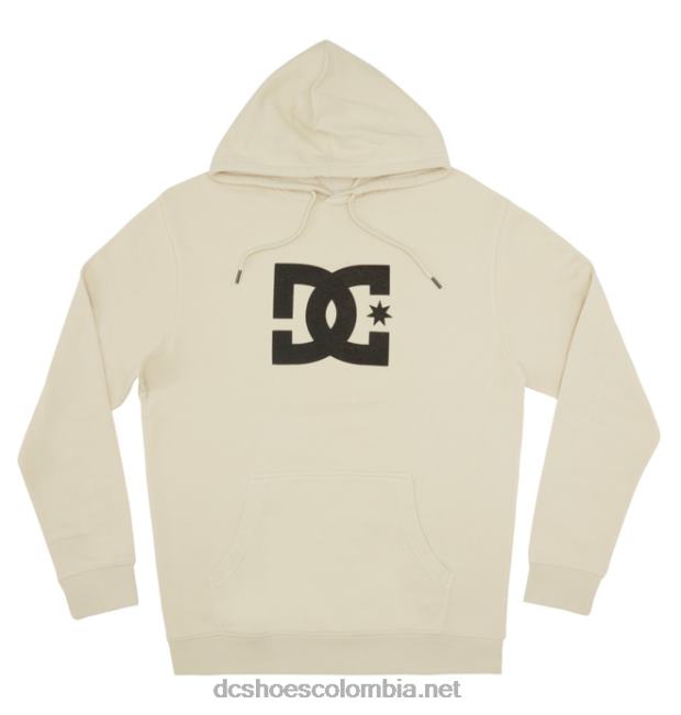 sudadera con capucha de estrella dc para hombre nublado DC Shoes X4RB0106