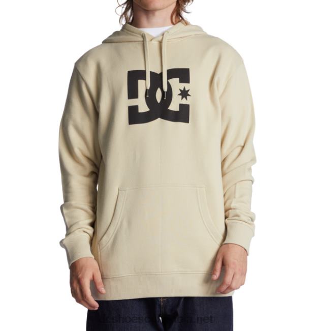 sudadera con capucha de estrella dc para hombre nublado DC Shoes X4RB0106