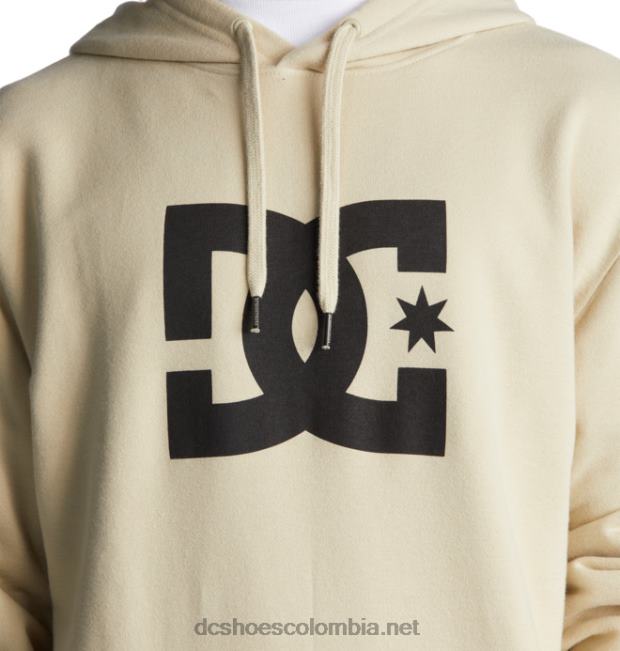 sudadera con capucha de estrella dc para hombre nublado DC Shoes X4RB0106