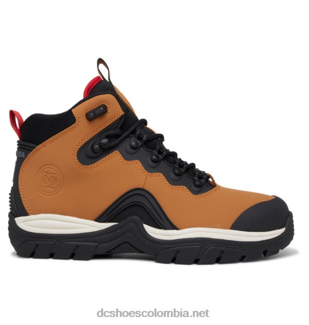 botas de invierno con cordones para hombre trigo/negro DC Shoes X4RB0165