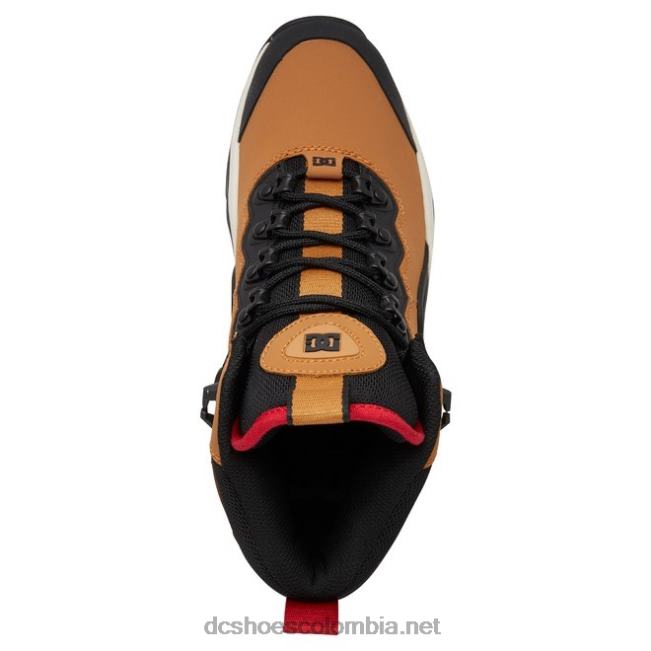 botas de invierno con cordones para hombre trigo/negro DC Shoes X4RB0165