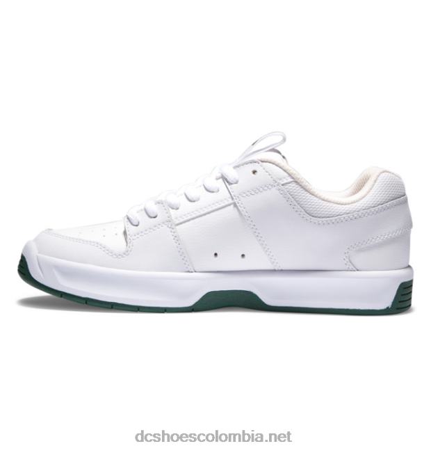 zapatillas de skate lynx zero para hombre blanco verde DC Shoes X4RB0236