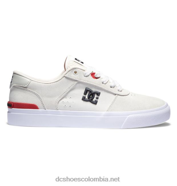 zapatillas skate teknic hombre blanquecino DC Shoes X4RB029
