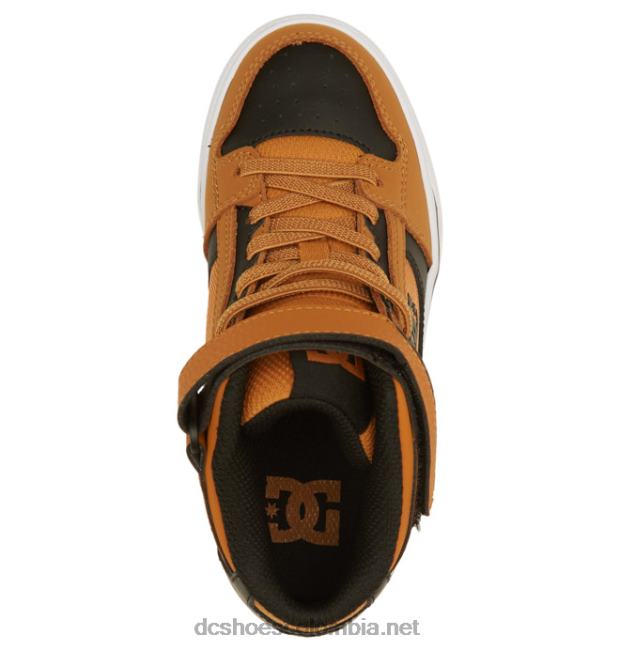 zapatos de caña alta con cordones elásticos puros para niños trigo/negro DC Shoes X4RB0522