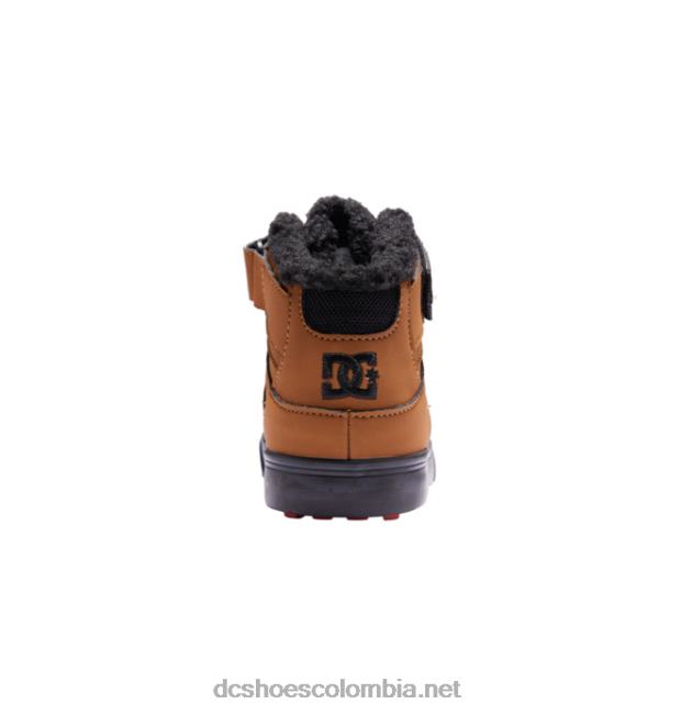 zapatos de invierno puros para niños trigo/negro DC Shoes X4RB0510
